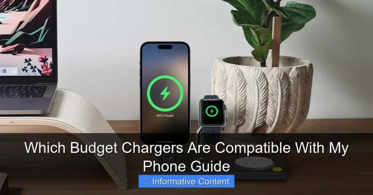 Which Budget Chargers Are Compatible With My Phone Guide