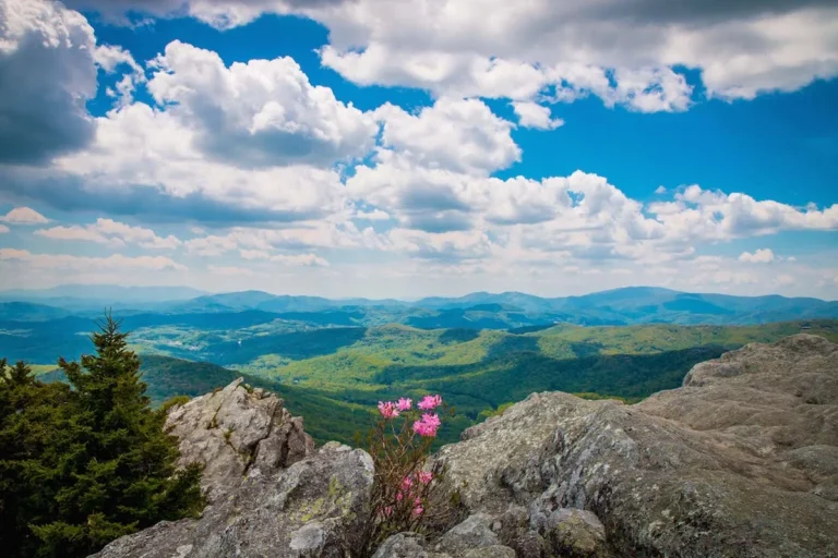 Best Banner Elk Cameras for Stunning Mountain Views