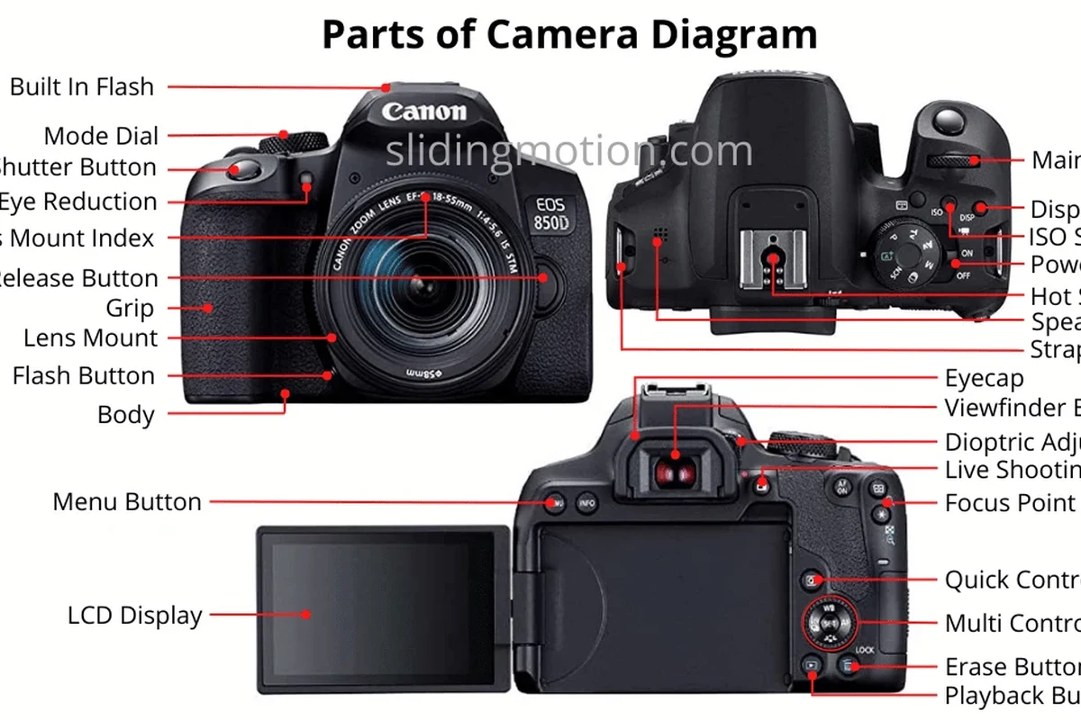 Illustration of camera body parts, lens, sensor, controls, battery, and memory card on a clean desk