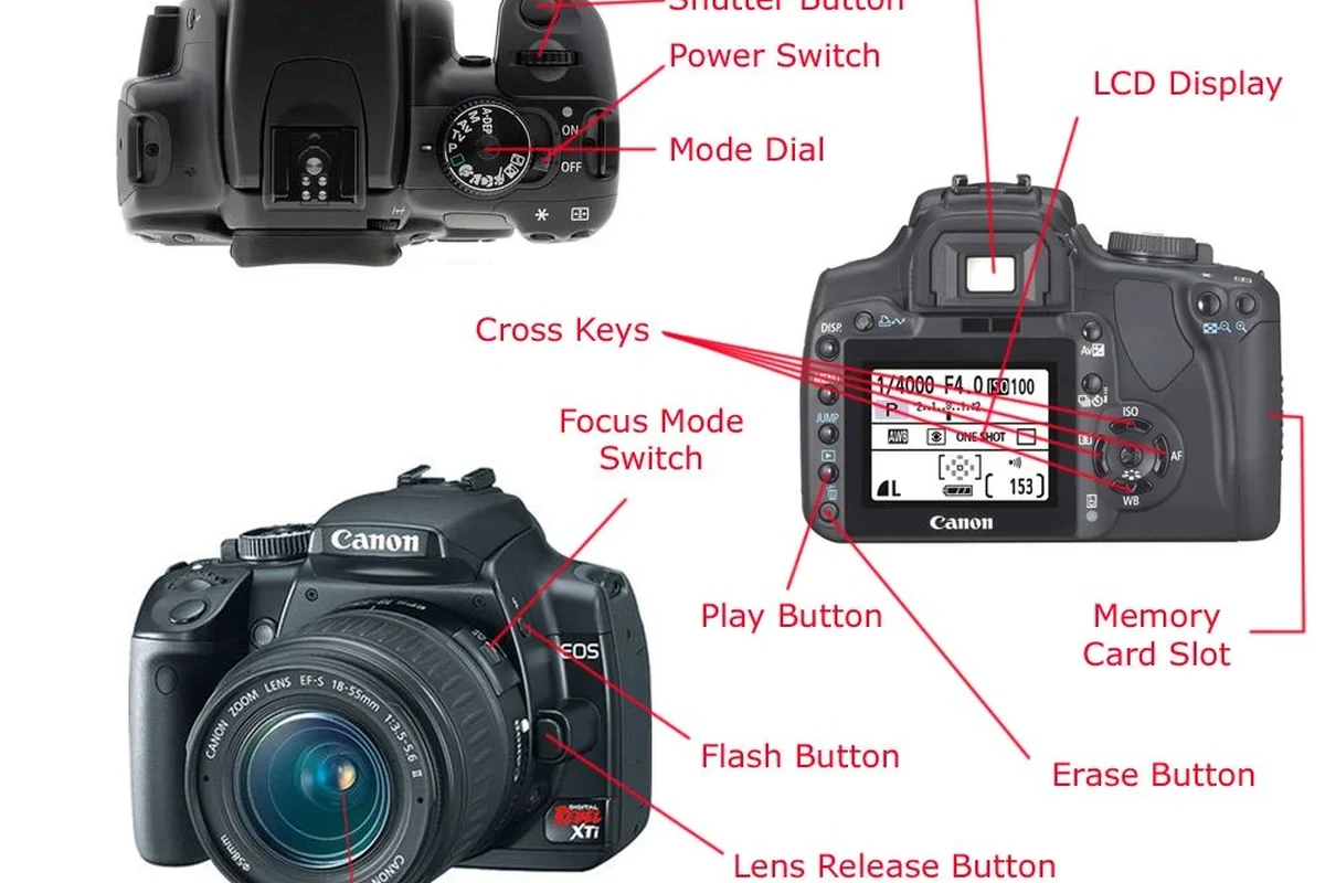 Illustration of camera body parts, lens, sensor, controls, battery, and memory card on a clean desk