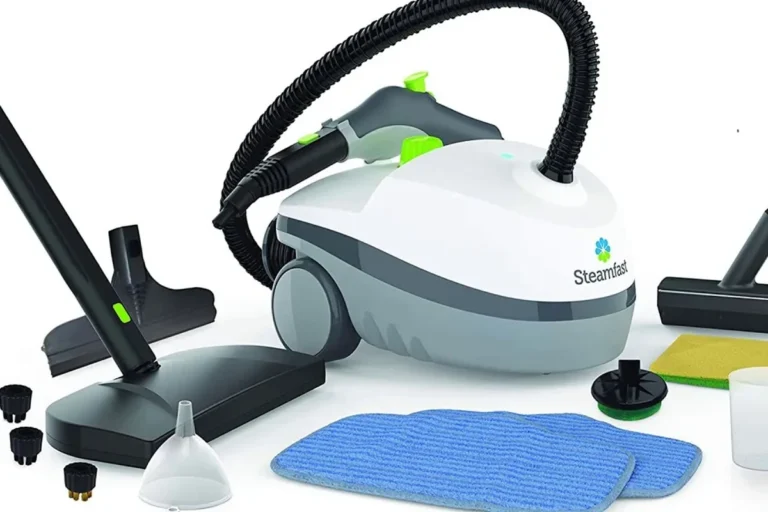 Do Steam Cleaners Kill Bed Bugs Effectively at Home