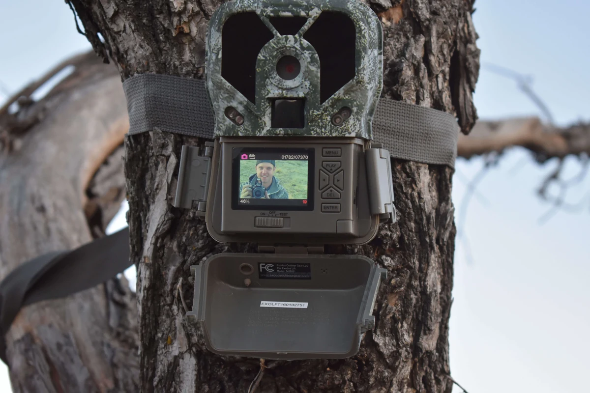 Outdoor trail camera mounted on a tree in a wooded hunting area