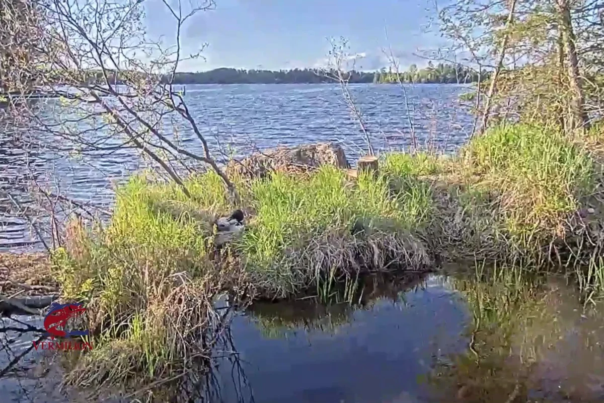 Outdoor lake camera mounted near a dock overlooking calm water and shoreline at sunset