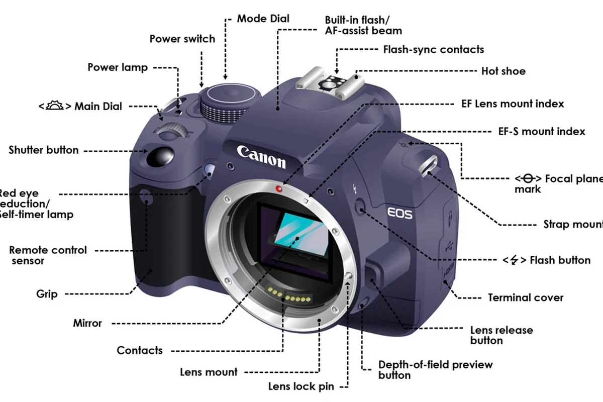Close-up DSLR camera body and lens showing key external parts for beginners
