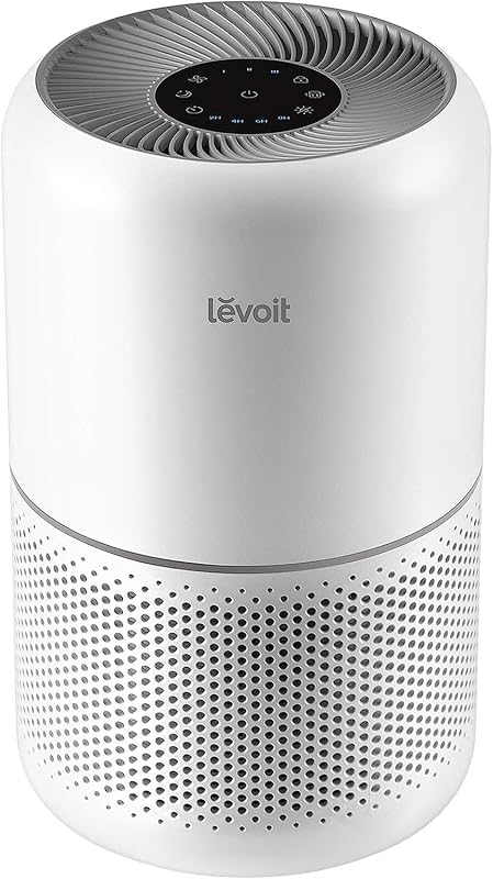6 Best Air Purifiers for Smoke in Large Rooms for GadgetMakersBlog