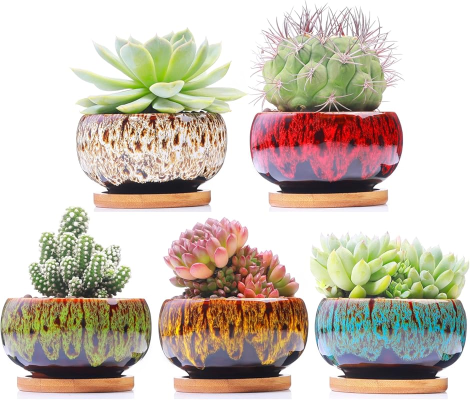 Cute Ceramic Succulent Pots set of five round planters
