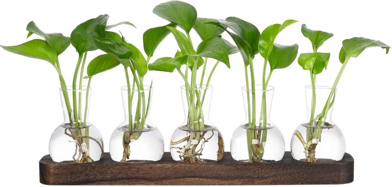 6 Best Air Purifying Plants for Bedroom: GadgetMakersBlog Roundup