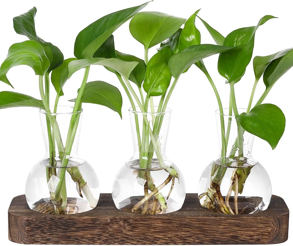 YIBOT Plant Propagation Station with retro wooden stand and three glass vases