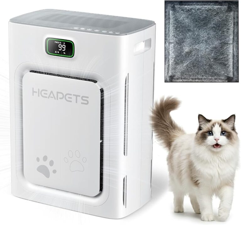 5 Best Large Room Air Purifiers with Washable Filter for Cleaner Air