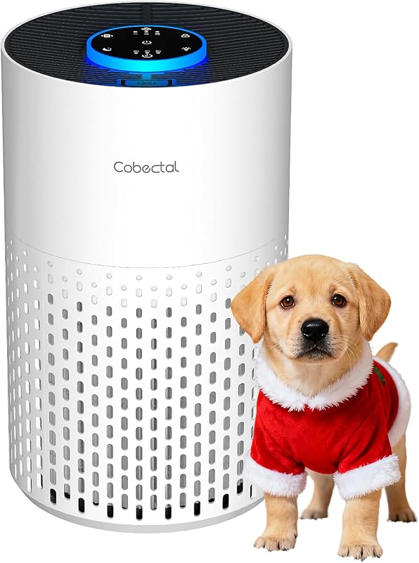 Cobectal HEPA air purifier for bedroom