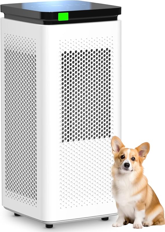 H13 True HEPA air purifier for large rooms with pets