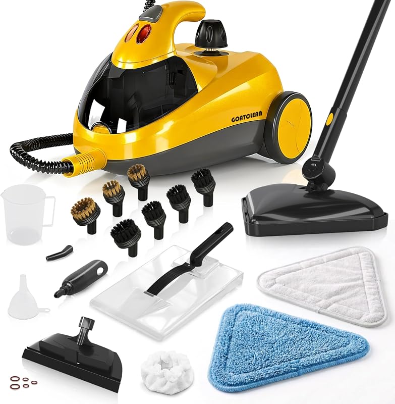Chemical-Free Pressurized Steam Cleaner with 22 Accessories