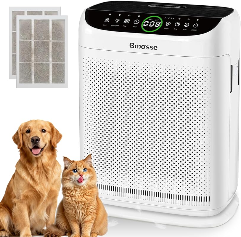 HEPA Air Purifier