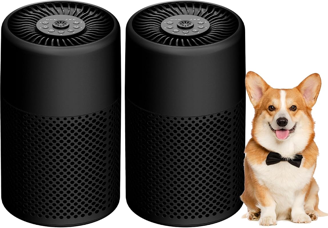 2 Pack True HEPA air purifiers for bedroom