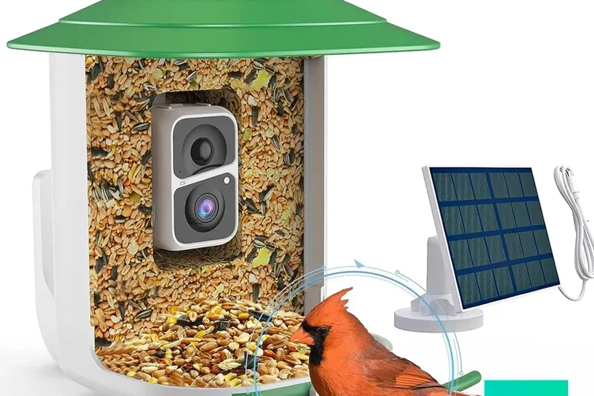 Smart bird feeder camera mounted outdoors with birds visiting a backyard feeder