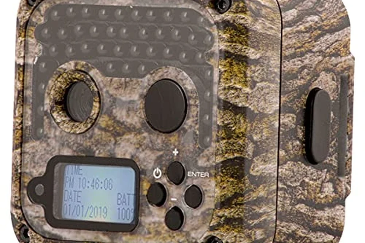 Trail camera mounted on a tree in a wooded outdoor setting with a wildlife monitoring focus