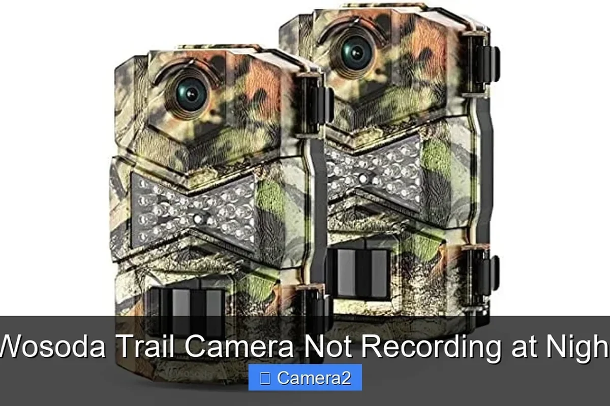 Trail camera mounted outdoors at dusk, used for troubleshooting night recording issues