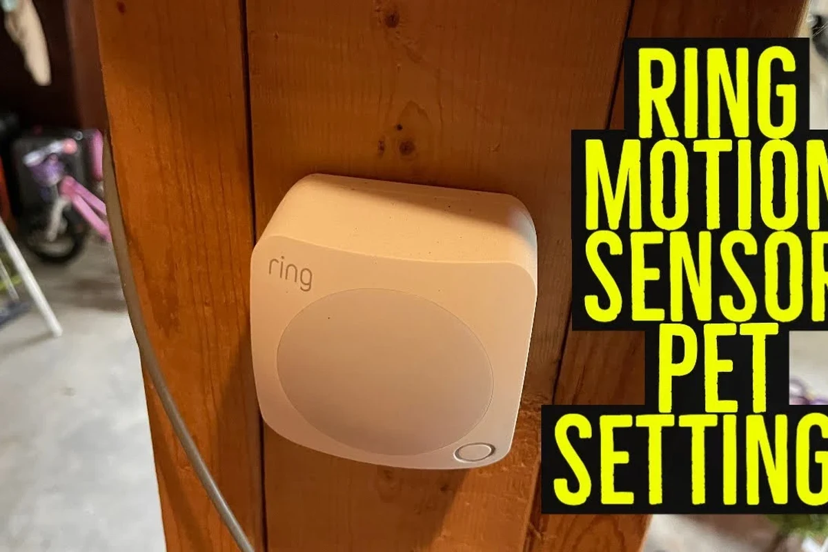 Ring motion sensor mounted in a hallway near a pet-friendly home setup
