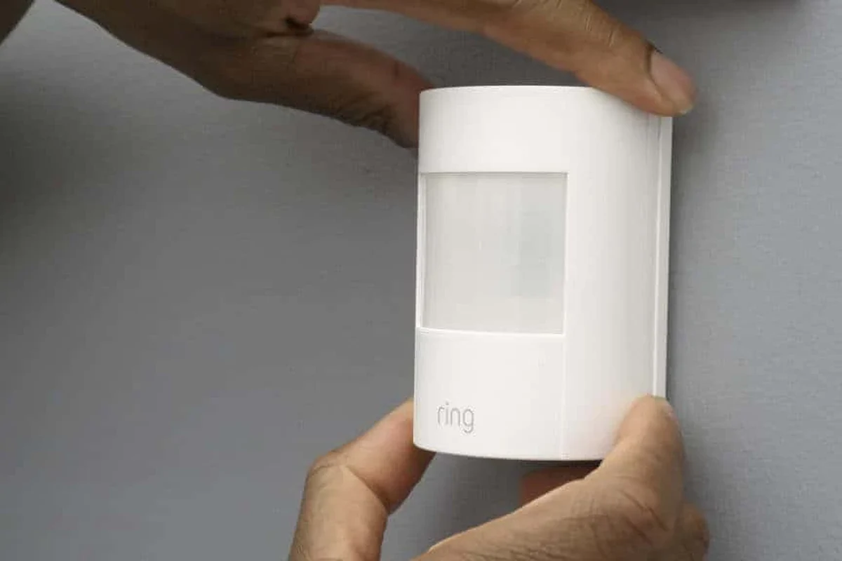 Ring motion sensor mounted in a hallway near a pet-friendly home setup